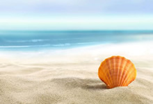 一般手繪墻畫使用的顏料都是丙烯